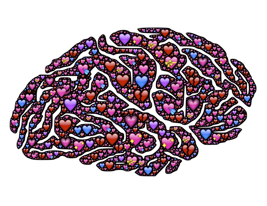 brain-619060_960_720